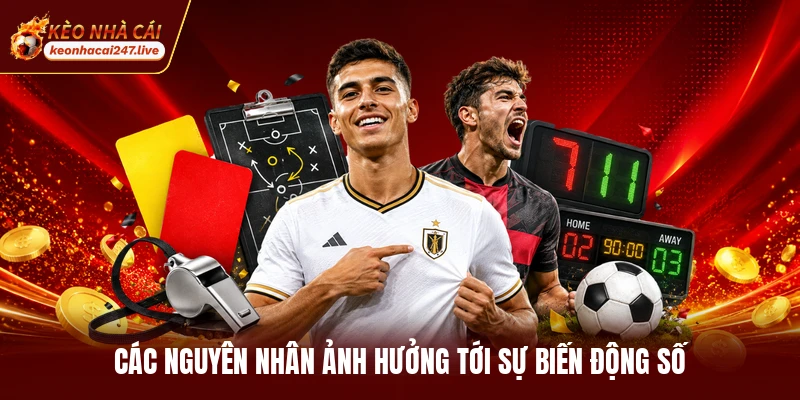 Các nguyên nhân ảnh hưởng tới sự biến động số