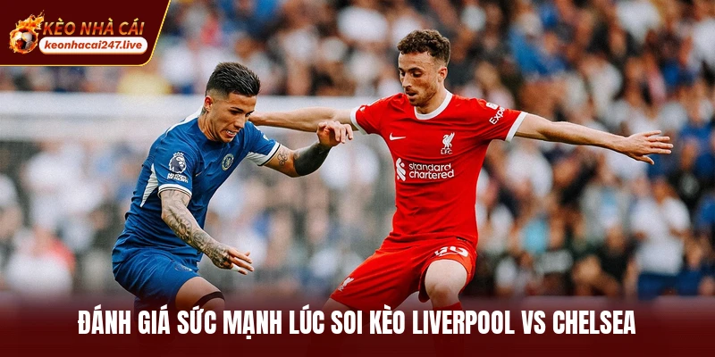 Đánh giá sức mạnh lúc soi kèo Liverpool vs Chelsea