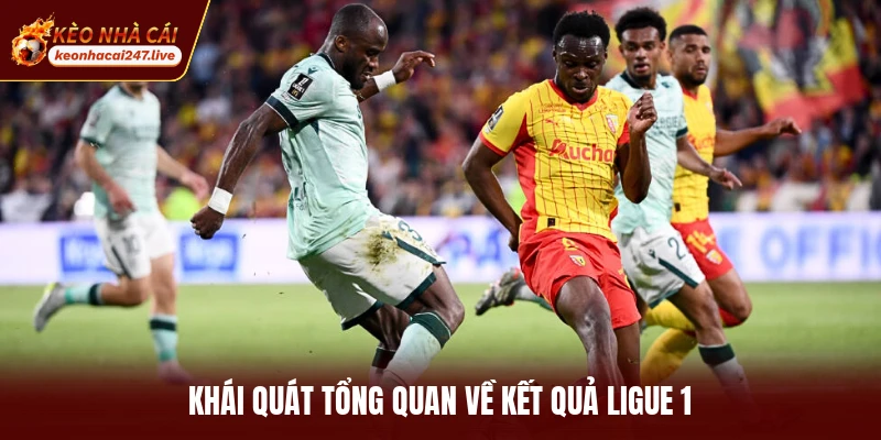 Khái quát tổng quan về kết quả ligue 1