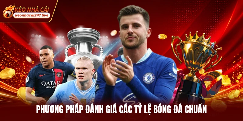 Phương pháp đánh giá các tỷ lệ bóng đá chuẩn