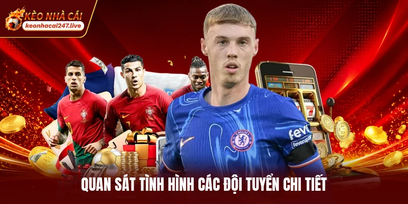 Quan sát tình hình các đội tuyển chi tiết