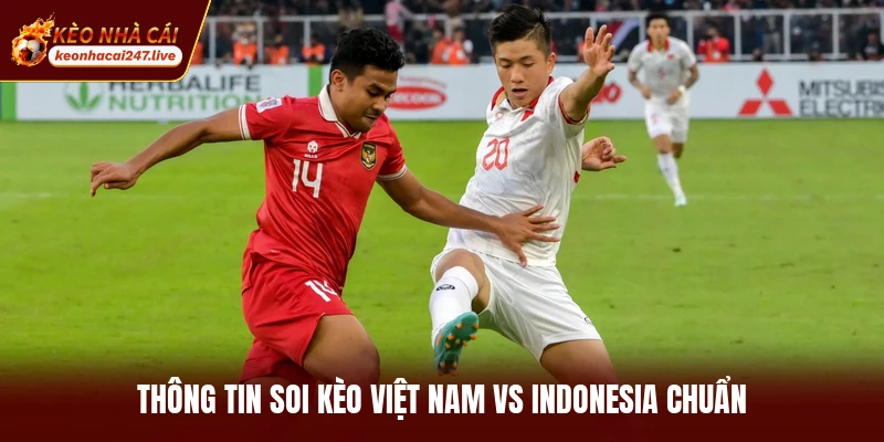 Thông tin soi kèo Việt Nam vs Indonesia chuẩn