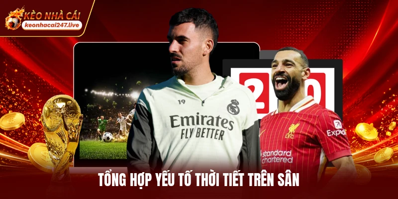 Tổng hợp yếu tố thời tiết trên sân