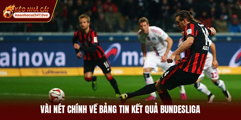 Vài nét chính về bảng tin kết quả bundesliga
